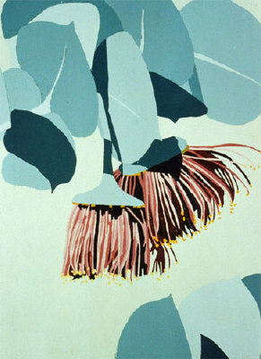 Eucalyptus