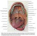 7-10-11-med-plaat-003