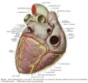 7-10-11-med-plaat-018