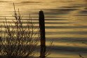 B.Geerligs.19-1-08-0804