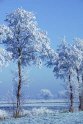 B.Geerligs.19-1-08-0828