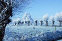 B.Geerligs.19-1-08-0837