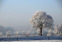 B.Geerligs.19-1-08-0840