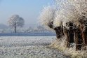 B.Geerligs.19-1-08-0841