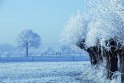 B.Geerligs.19-1-08-0842