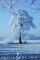 B.Geerligs.19-1-08-0843