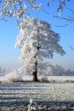 B.Geerligs.19-1-08-0844