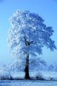 B.Geerligs.19-1-08-0846