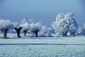 B.Geerligs.19-1-08-0848