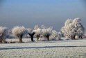 B.Geerligs.19-1-08-0849