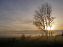 mist boven Groenkan krediet